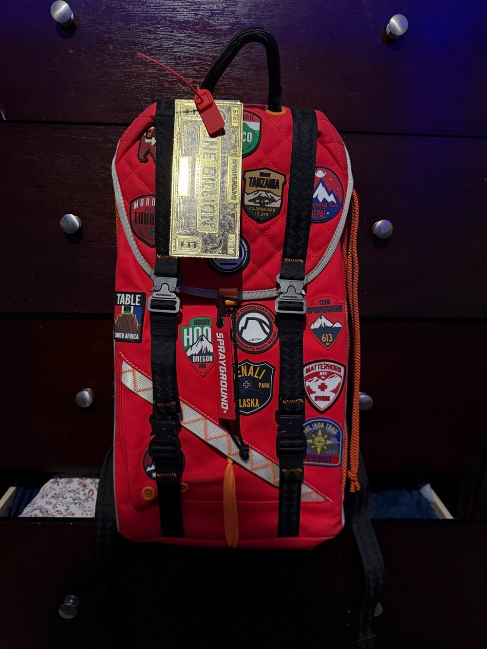 SPRAYGROUND Red Backpack with Travel Patches